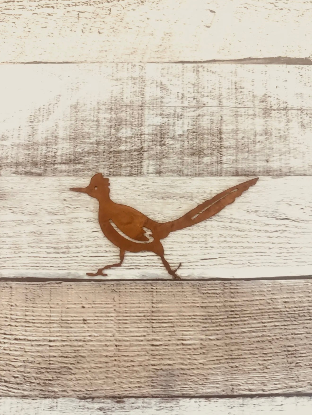 Rustic Spirit Southwestern Roadrunner Magnet