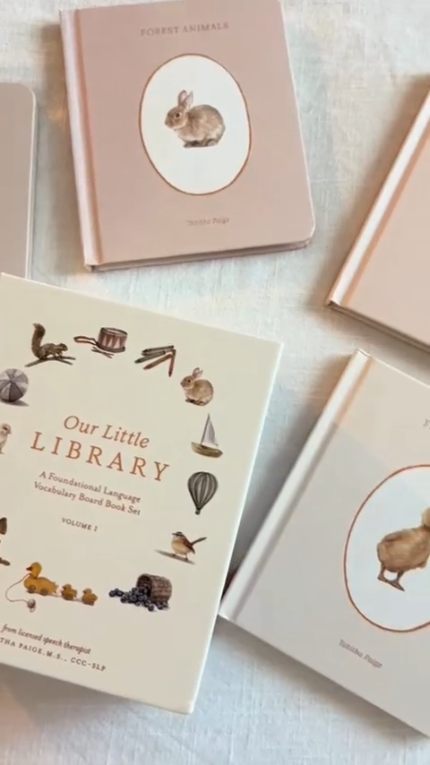 Our Little Library- Volumes 1-3