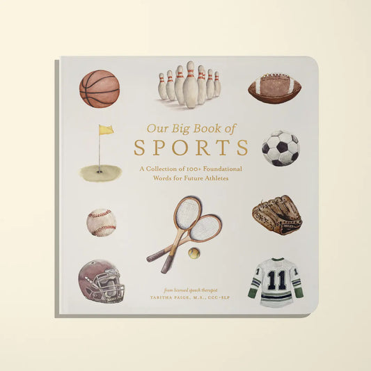 Big Book of Sports