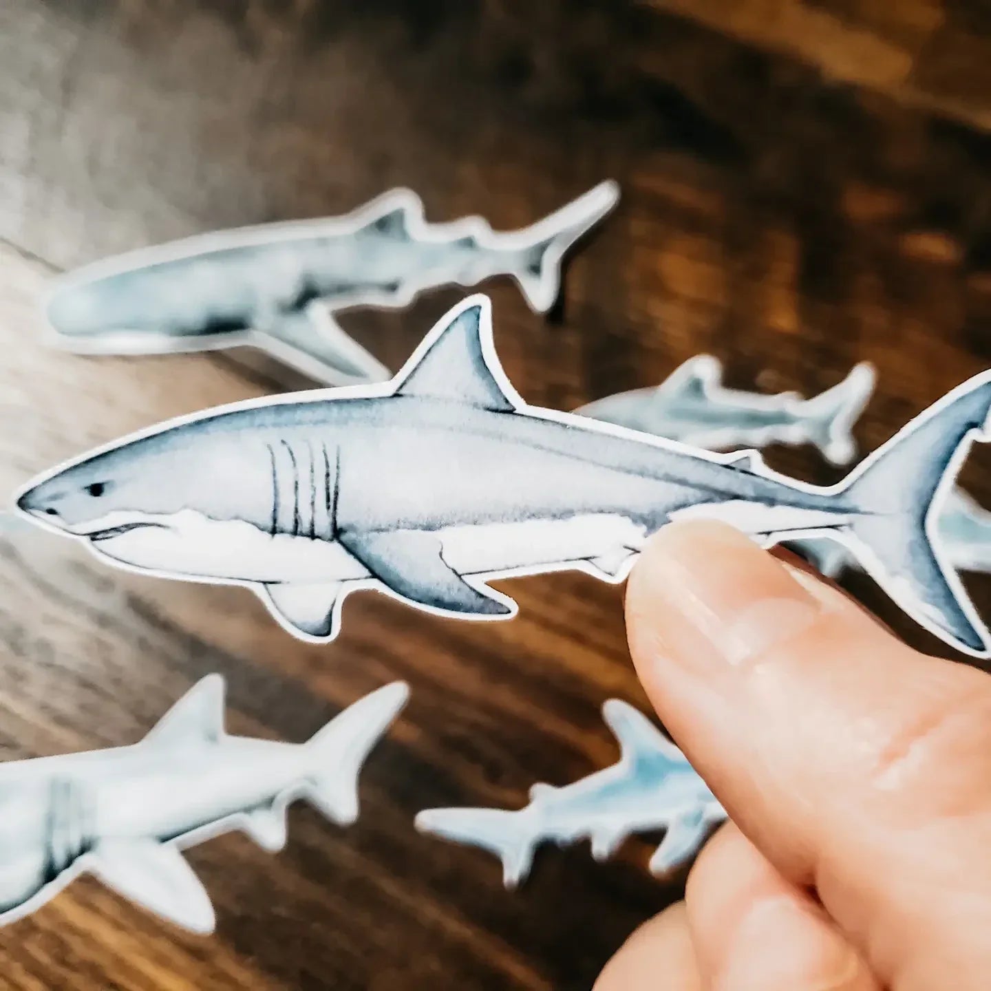 Sharks Sticker Pack