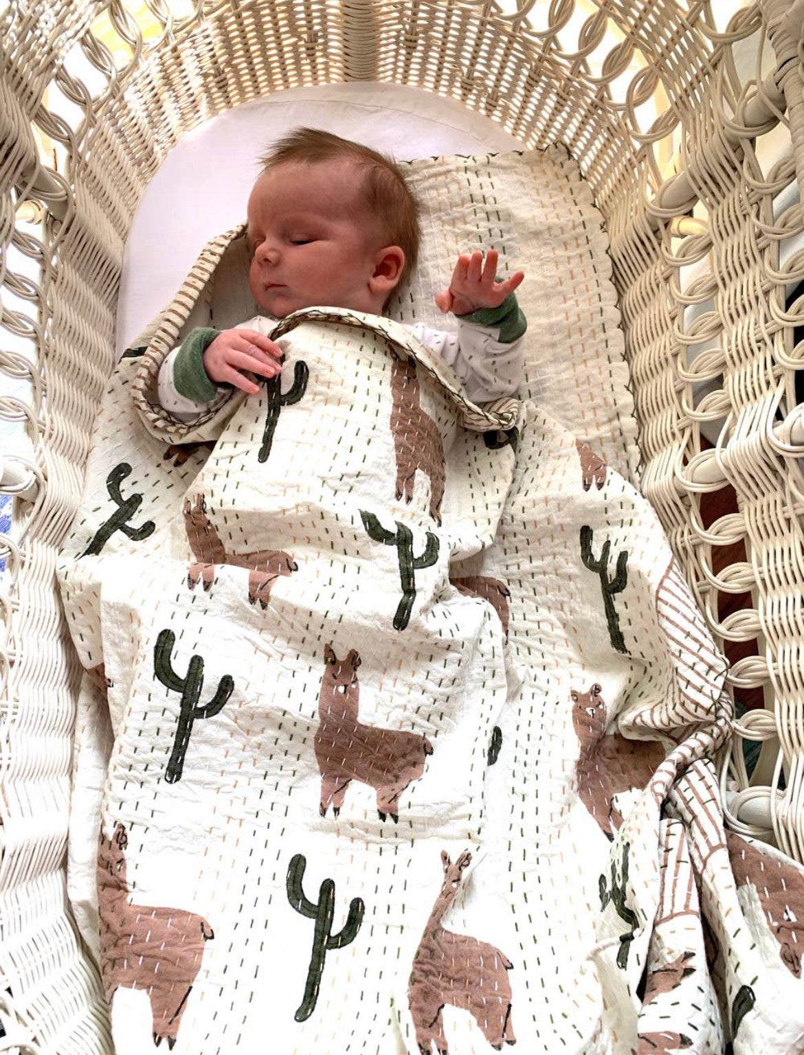 Llama & Cactus Quilts