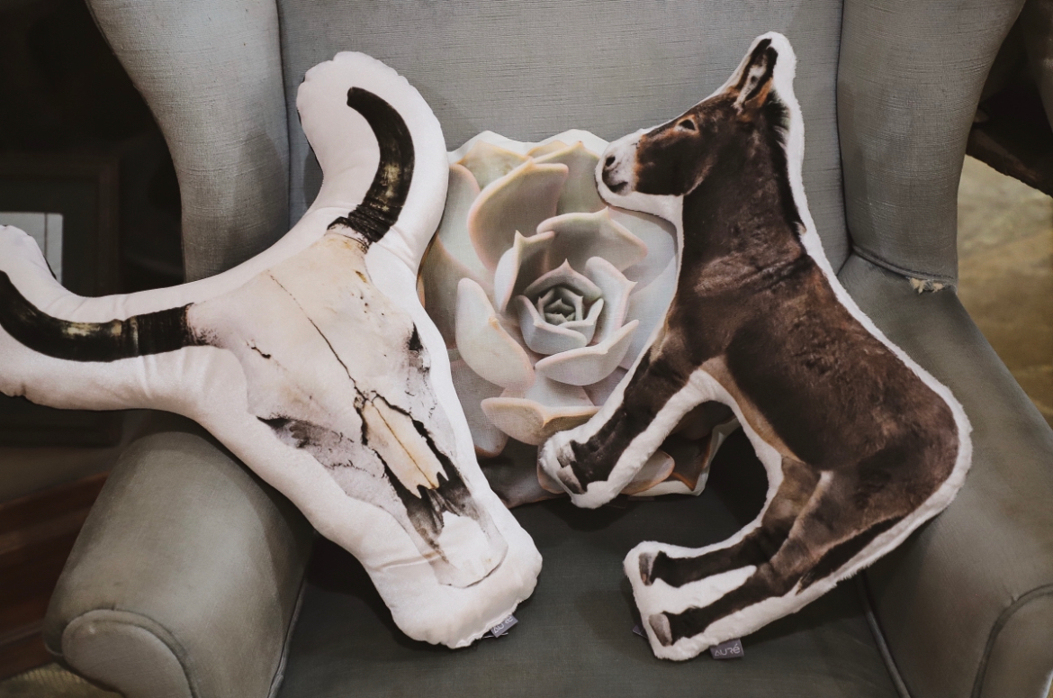 Cow Skull Velvet Pillow