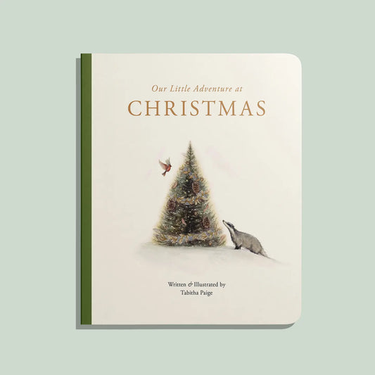Our Little Adventure at Christmas- Board Book